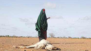somalia.jpg