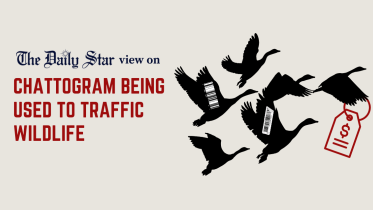 wildlife trafficking 