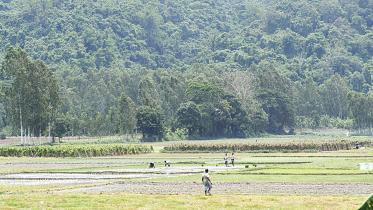 agriculture-2.jpg