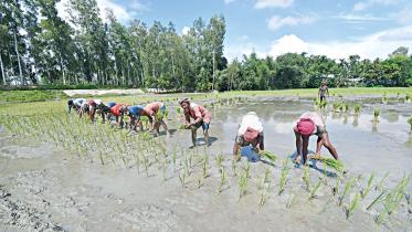 agriculture-census.jpg