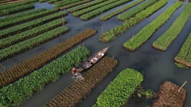 Floating agriculture.jpg