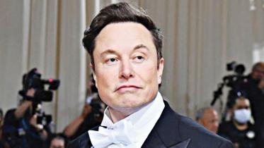 musk.jpg