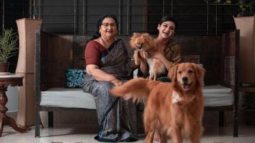 My heart cries for street animals affected by fireworks: Jaya Ahsan  