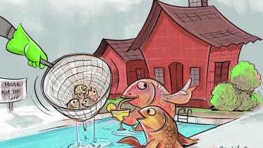 Big fish and small fry in Canada - Biplob Chakroborty/STAR