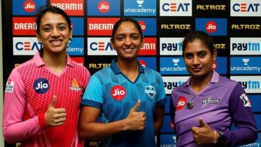 wipl.jpg