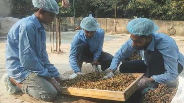 mohima-products-1.jpg