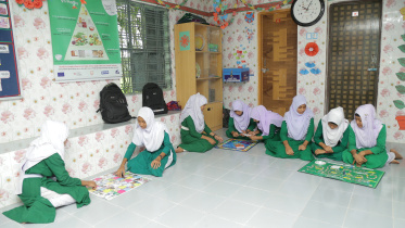 story_087653.jpg