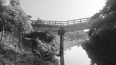 bridge.jpg