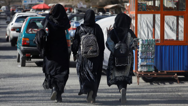 afghan-web-2.jpg
