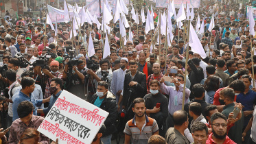 bnp-web-2.jpg