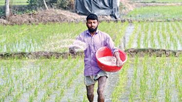 fertiliser-price.jpg