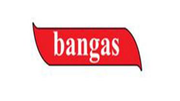 bangas-posts.jpg