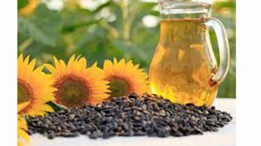 seed-oil.jpg
