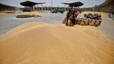 indias-wheat-output.jpg