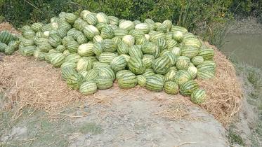 watermelon.jpg