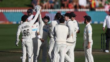 nz-sl_1.jpg