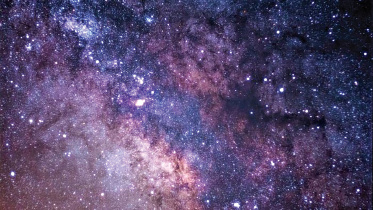 webbgalaxies.jpg