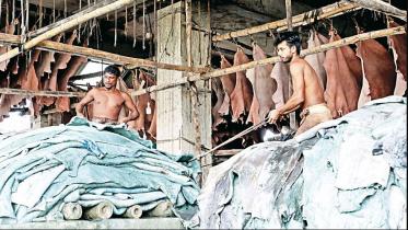 14-tanners-lauded-for-improving-health-safety.jpg