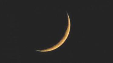 moonj-web.jpg