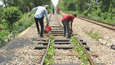 train-line.jpg
