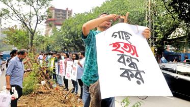 save-trees-saat-masjid-road.jpg