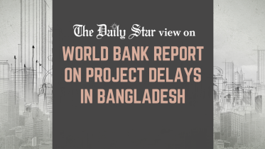 Poor state of project preparation and implementation 