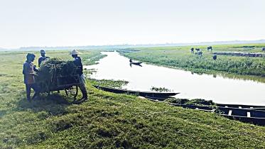 kawadighi_haor.jpg