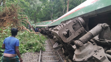 train-web.jpg