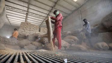 india-may-harvest-record.jpg
