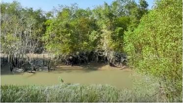 ponds-web.jpg