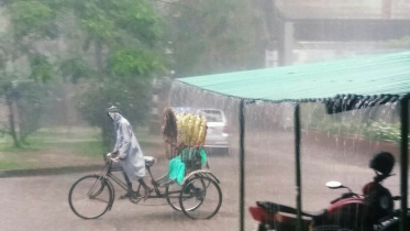 rain_2.jpg