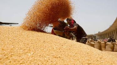 india-imposes-wheat.jpg