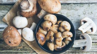 mushroom.jpg
