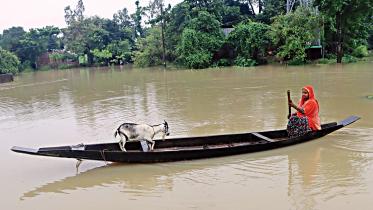 flood.jpg