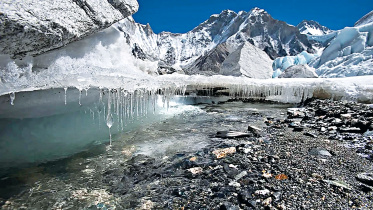 himalayan.jpg