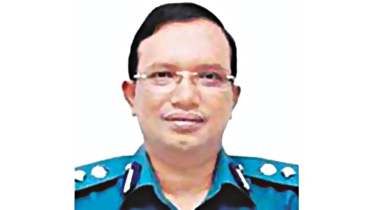 mijan.jpg
