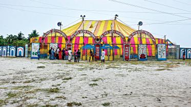 circus2.jpg