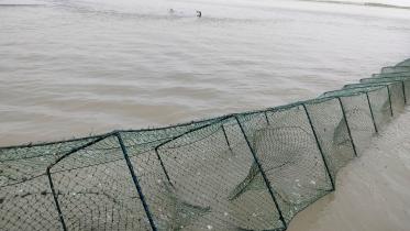 banned-fishing-traps.jpg
