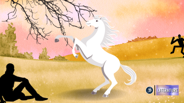 literature_web_illustrations.png