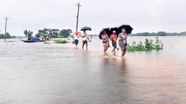 flood.jpg