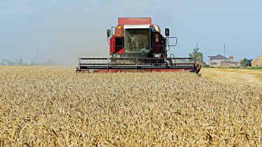 crops.jpg