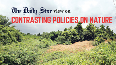 Urban forestry vs hill cutting in Bangladesh  