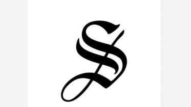 ds_logo.jpg