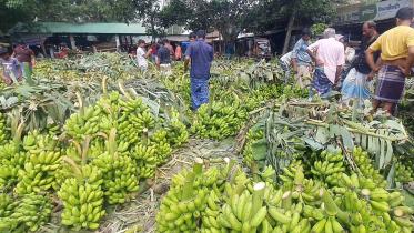 banana.jpg