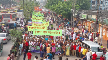 bnp-web.jpg