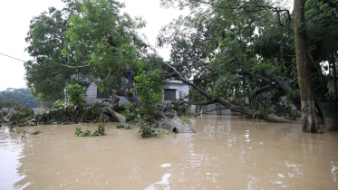 ctg_flood.jpg