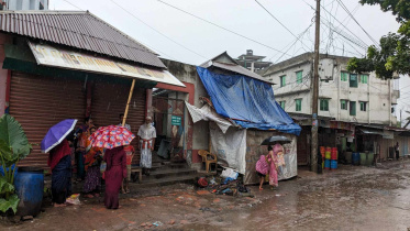 savar.jpg