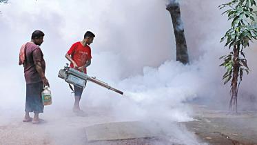Dengue Crisis