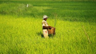 myanmar.jpg