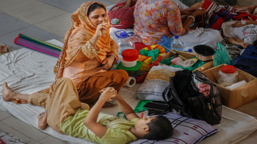 Dengue Outbreak: August cases surpass all of 2022